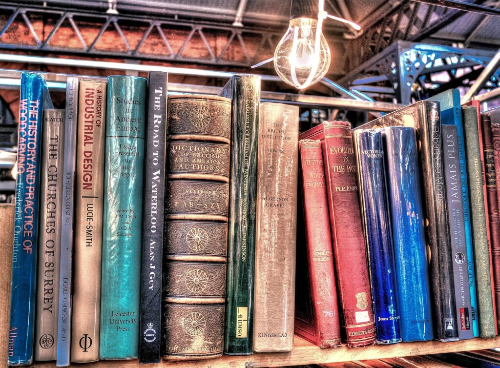 books, light bulb, literature-2383396.jpg